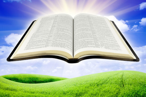 AdobeStock_75696064-for-Ser-600x400.jpg